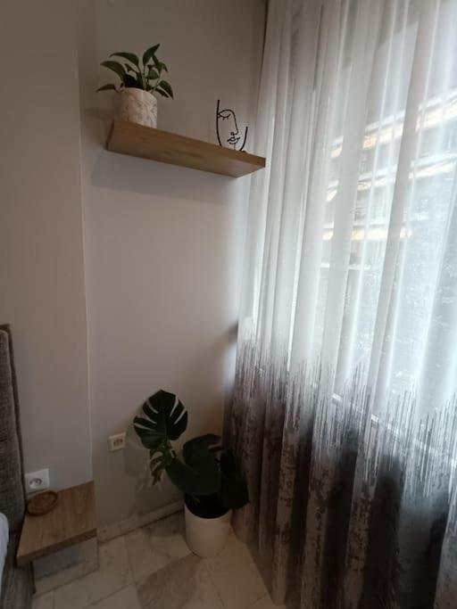 Appartement Callisto *
